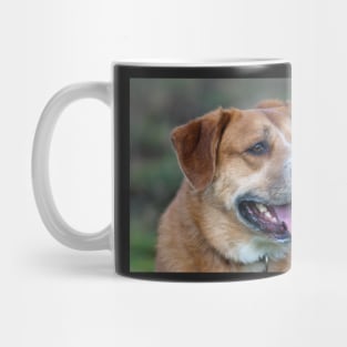 Looking for You Dog Mug